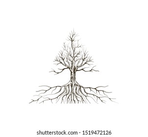 Molten Tree and roots logo design vector isolated,  tree with triangle shape