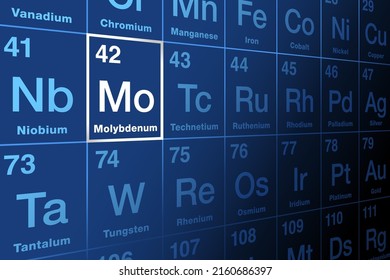 Molybdenum on periodic table of the elements. Metal and chemical element with symbol Mo and atomic number 42. Used for steel production and chemical applications. Essential element in most organisms.