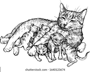 Mom cat with kittens - vector hand-drawn illustration