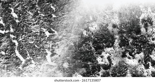 A Moment of Decay Preserved in Pure Black and White

