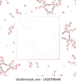 Momo Peach Flower Banner on White Background. Vector Illustration.
