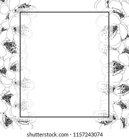 Momo Peach Flower Blossom Banner Card Border Outline