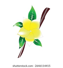 Mon chuye jaoya snigdho Kathgolap