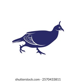 Monal himalayan design vector illustration. Monal himalayan Silhouette. Bird design template.