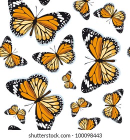 Monarch butterflies