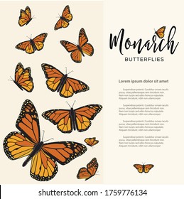 Monarch Butterflies Composition – Copy Space