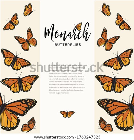Monarch Butterflies Composition – Copy Space