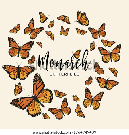 Monarch Butterflies Composition – Copy Space