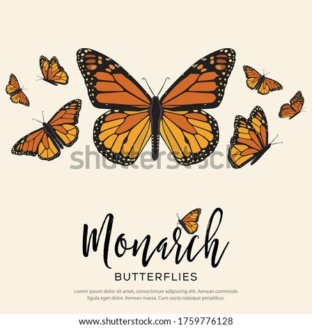 Monarch Butterflies Flying Composition – Copy Space