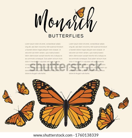 Monarch Butterflies Flying Composition – Copy Space