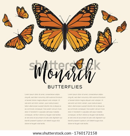 Monarch Butterflies Flying Composition – Copy Space