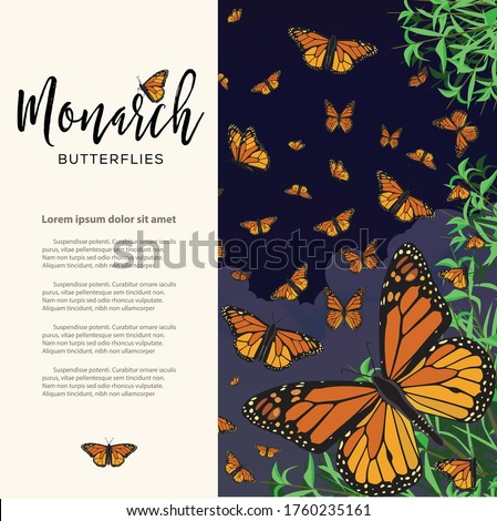 Monarch Butterflies Flying at Night Composition  – Copy Space