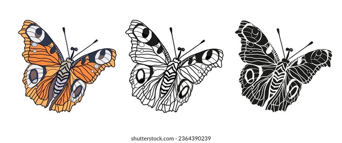 Monarch butterflies set Vector hand drawn insect illustration isolated on white background.