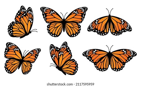 Las mariposas monarca se ponen. Ilustración del vector aislada en fondo blanco