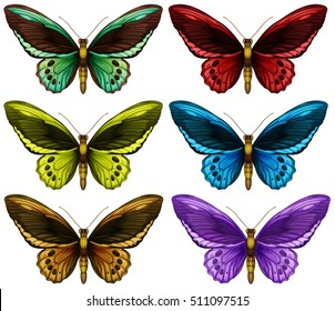 Monarch butterflies in six different color wings illustration