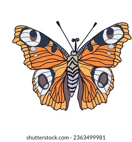 Monarch butterflies Vector hand drawn insect illustration isolated on white background.