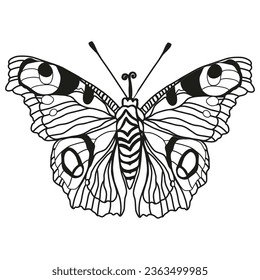Monarch butterflies Vector hand drawn insect illustration isolated on white background.