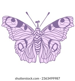 Monarch butterflies Vector hand drawn insect illustration isolated on white background.