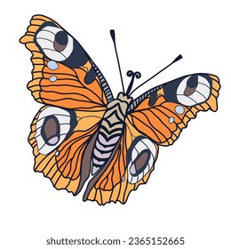 Monarch butterflies Vector hand drawn insect illustration isolated on white background.