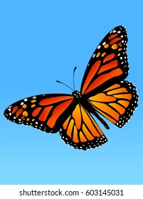 Monarch butterfly