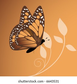 monarch butterfly