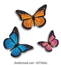 Monarch butterfly  bllue, orange and pink.