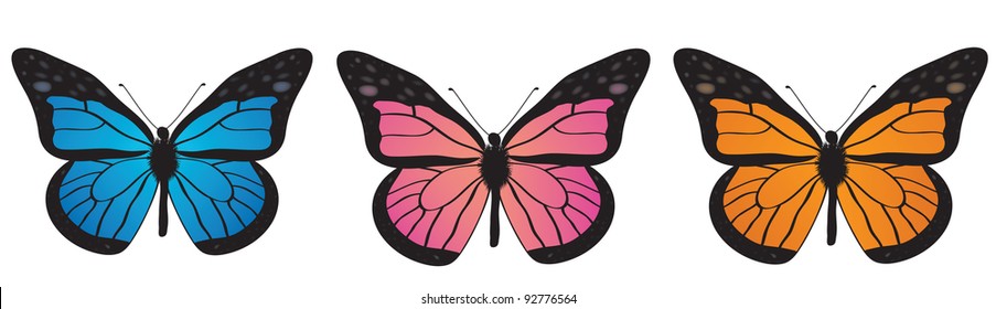 Monarch butterfly  bllue, orange and pink.