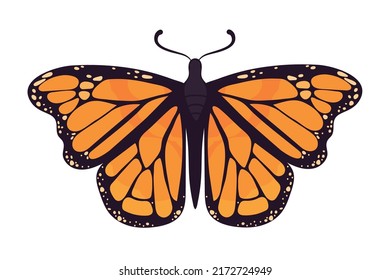 monarch butterfly bug icon flat isolated