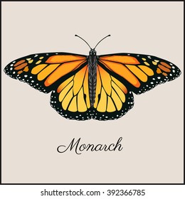 Tarjeta mariposa monarca. Ilustración vectorial plana. Bonita carta vintage en marco para impresión o web. 