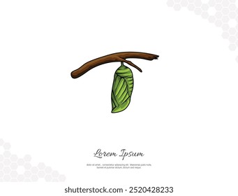 Monarch Butterfly Chrysalis vector art for wall decoration. realistic animal images. Hand drawn wild animal isolated. for room decoration, events, etc