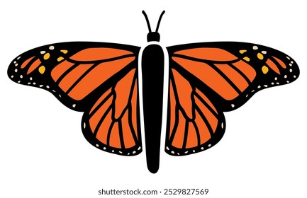 Monarch Butterfly Closeup View | Vector Silhouette of Winged Insect | Mariposa Overhead Outline