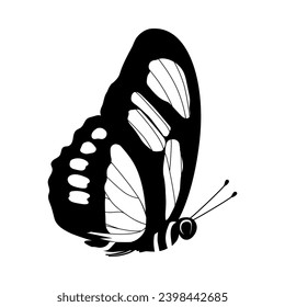 mariposa monarca en contorno, ilustración vectorial aislada en fondo blanco, elemento de diseño de cierre mariposa negra, vista lateral