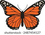 Monarch butterfly, Danaus plexippus. Milkweed 