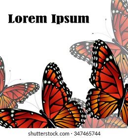 The Monarch butterfly Danaus plexippus vector on white