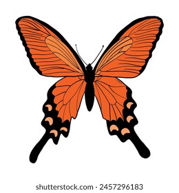 Monarch butterfly drawing for stickers, prints, cards, posters, invitations, banners, sublimation, etc. EPS 10