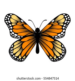 monarch butterfly eps vector on isolated white background.