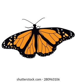 Monarch butterfly flying vector illustration. Butterfly isolated. Tropical butterfly