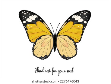 monarch butterfly hand drawn design vector