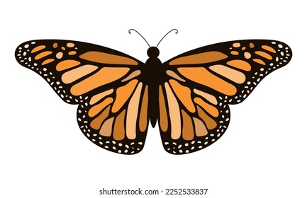 Monarch butterfly. Hand drawn vector illustration.