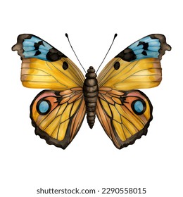 Monarch butterfly. Hand drawn vector illustration.