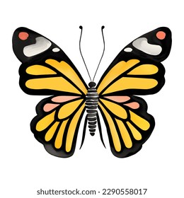 Monarch butterfly. Hand drawn vector illustration.