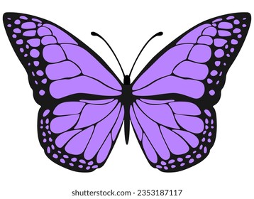 Monarch butterfly. Hand drawn vector illustration. Tropical elegant butterfly with colorful wings isolated on white background. Pretty flying moth top view. Gorgeous exotic spring insect. Colored text