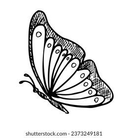 Monarch Butterfly. Hand drawn vector illustration of flying Insect in line art style. Engraved drawing of elegant animal for feminine greeting cards or wedding invitations. Etching for icon or logo.