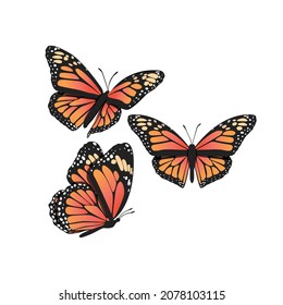 Monarch Butterflies Set Vector Illustration Isolated On White