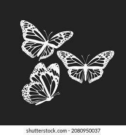 Monarch Butterfly, Butterfly Icon, Butterfly Set, Butterfly Vector, Wildlife Animals, Vector Illustration Background