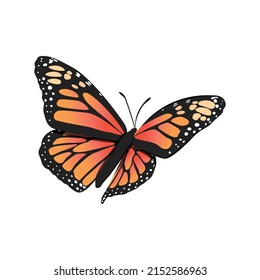 Monarch Butterfly, Butterfly Icon, Butterfly Set, Butterfly Vector, Wildlife Animals, Vector Illustration Background