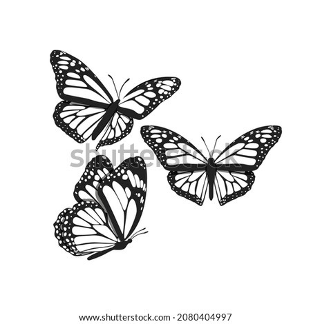 Monarch Butterfly, Butterfly Icon, Butterfly Set, Butterfly Vector, Wildlife Animals, Vector Illustration Background