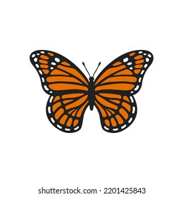 Monarch butterfly illustration. Realistic butterfly with textured wings. Beautiful monarch for scrapbooking. Vector illustration isolated on white background