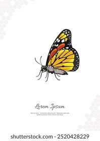 Monarch Butterfly internal  vector art for wall decoration. realistic animal images. Hand drawn wild animal isolated. for room decoration, events, etc