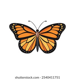 
Monarch butterfly isolated flat vector llustration on white background.